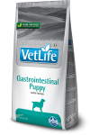 Farmina Vet Life Growth Gastrointestinal Puppy Dog 2x12kg