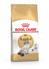 ROYAL CANIN RAGDOLL 2 kg