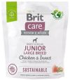 BRIT CARE DOG SUSTAINABLE JUNIOR LARGE BREED CHICKEN INSECT 1 KG