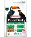 VL-VL-Orlux NutriBird Tropical Fruit Patee 25kg - pokarm dla ptaków owocożernych