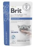 BRIT GRAIN FREE VETERINARY DIETS CAT RECOVERY 85G